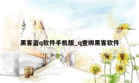 黑客盗q软件手机版_q查绑黑客软件