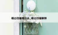 端口扫描是什么_端口扫描制样