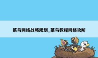 菜鸟网络战略规划_菜鸟教程网络攻防