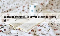 会玩软件能赚钱吗_会玩什么叫黑客软件呀安卓