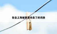 包含上海被黑客攻击了的词条