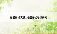 渗透测试实战_渗透测试专项行动