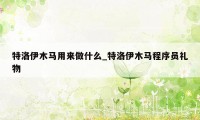 特洛伊木马用来做什么_特洛伊木马程序员礼物