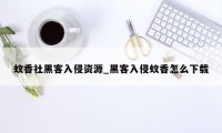 蚊香社黑客入侵资源_黑客入侵蚊香怎么下载