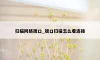 扫描网络端口_端口扫描怎么看连接