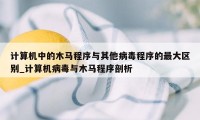 计算机中的木马程序与其他病毒程序的最大区别_计算机病毒与木马程序剖析