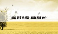 鲤鱼黑客模拟器_鲤鱼黑客软件