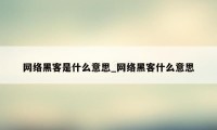 网络黑客是什么意思_网络黑客什么意思