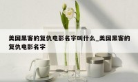 美国黑客的复仇电影名字叫什么_美国黑客的复仇电影名字