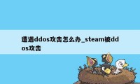 遭遇ddos攻击怎么办_steam被ddos攻击