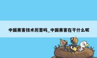 中国黑客技术厉害吗_中国黑客在干什么呢