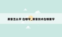 黑客怎么学 在哪学_黑客技术在哪里学