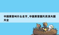 中国黑客叫什么名字_中国黑客图片高清大图大全