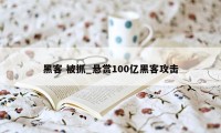 黑客 被抓_悬赏100亿黑客攻击