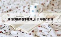 端口扫描的基本原理_什么叫端口扫描