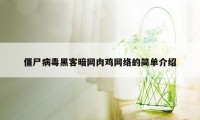 僵尸病毒黑客暗网肉鸡网络的简单介绍