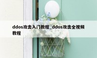ddos攻击入门教程_ddos攻击全视频教程