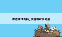 渗透测试百科_渗透测试指的是