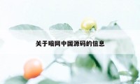 关于暗网中国源码的信息