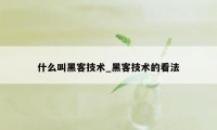 什么叫黑客技术_黑客技术的看法