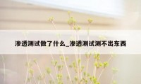 渗透测试做了什么_渗透测试测不出东西