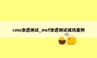 cms渗透测试_msf渗透测试成功案例