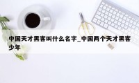 中国天才黑客叫什么名字_中国两个天才黑客少年