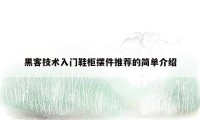黑客技术入门鞋柜摆件推荐的简单介绍