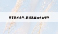 黑客技术自学_顶级黑客技术去哪学
