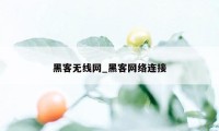 黑客无线网_黑客网络连接