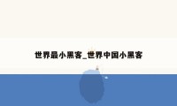世界最小黑客_世界中国小黑客