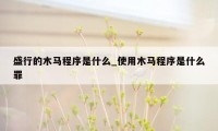盛行的木马程序是什么_使用木马程序是什么罪