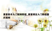 黑客新手入门视频教程_黑客博主入门教程图片视频