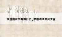渗透测试主要做什么_渗透测试图片大全