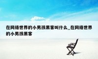 在网络世界的小男孩黑客叫什么_在网络世界的小男孩黑客