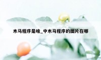 木马程序是啥_中木马程序的图片在哪