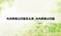大内网端口扫描怎么用_大内网端口扫描