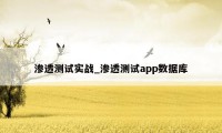 渗透测试实战_渗透测试app数据库