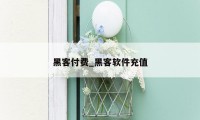 黑客付费_黑客软件充值