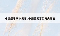 中国最牛两个黑客_中国最厉害的两大黑客