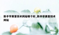 新手学黑客技术网站哪个好_新手学黑客技术网站