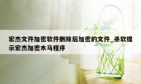 宏杰文件加密软件删除后加密的文件_杀软提示宏杰加密木马程序