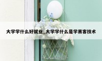 大学学什么好就业_大学学什么是学黑客技术