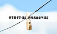 黑客要学的语言_网络黑客必学语言