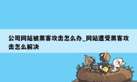 公司网站被黑客攻击怎么办_网站遭受黑客攻击怎么解决