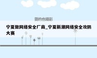 宁夏做网络安全厂商_宁夏新潮网络安全攻防大赛