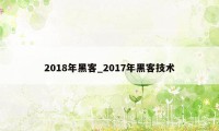 2018年黑客_2017年黑客技术