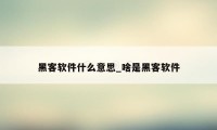 黑客软件什么意思_啥是黑客软件