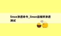 linux渗透命令_linux运维转渗透测试