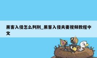 黑客入侵怎么判刑_黑客入侵夫妻视频教程中文